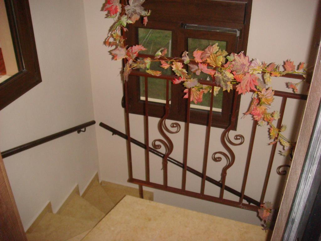 Villa Angela Sykia Chalkidikis Ngoại thất bức ảnh