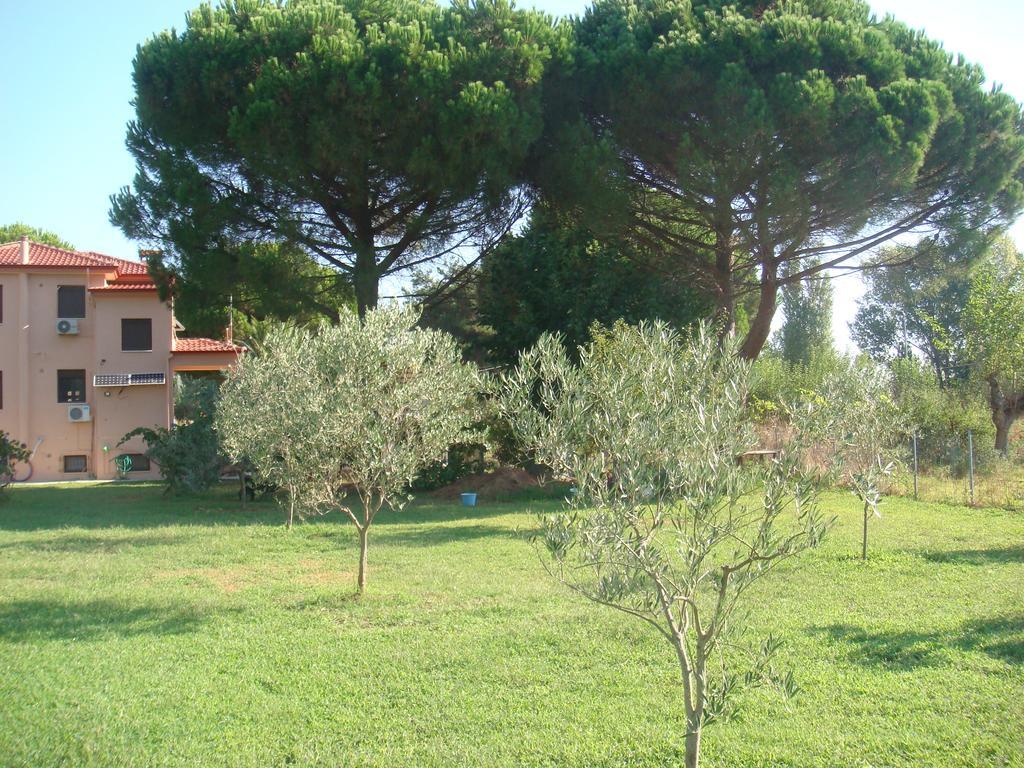 Villa Angela Sykia Chalkidikis Ngoại thất bức ảnh